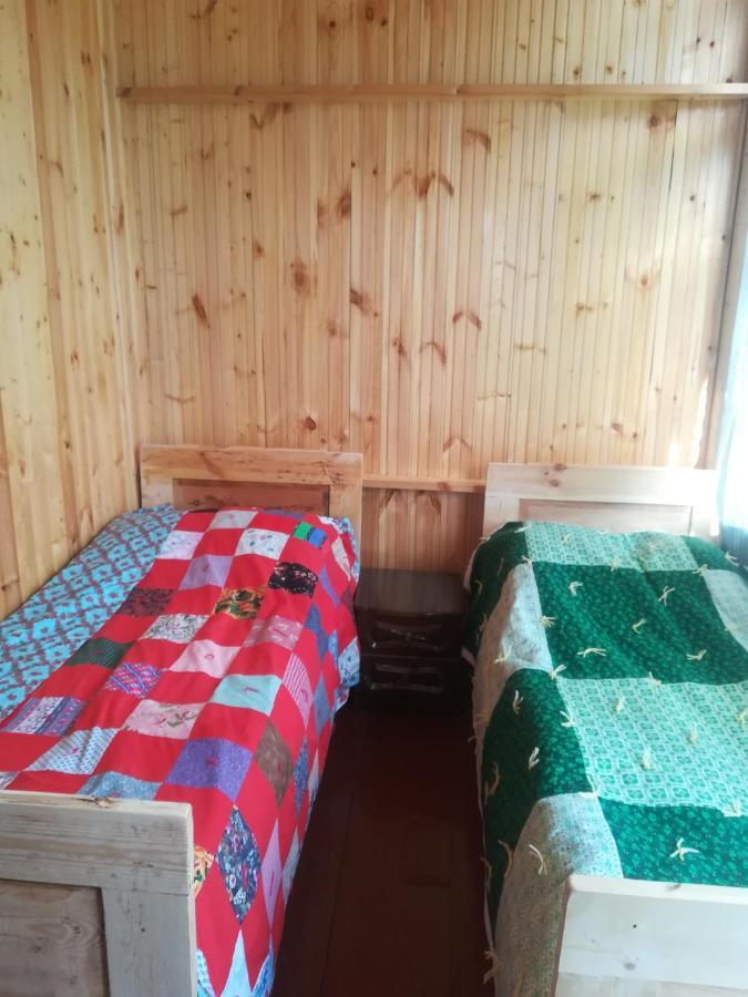 Adishi Guest House Georgia Elisabeth المظهر الخارجي الصورة